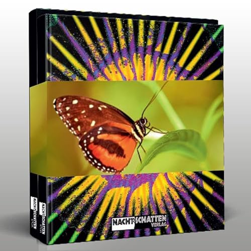 Reflexionen: Lob des Schauens / Tun und Lassen im Set Reflexionen: Lob des Schauens / Tun und Lassen im Set von Nachtschatten Verlag