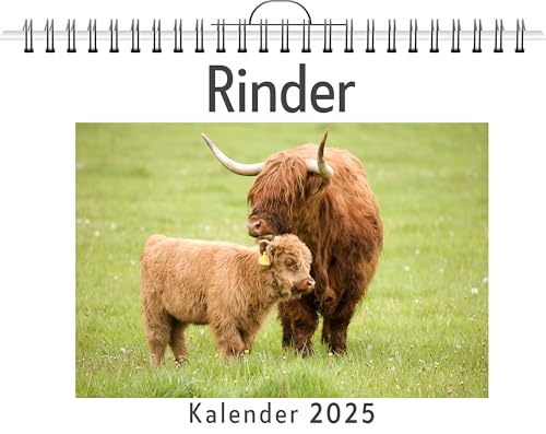 Rinder - (Wandkalender 2025, Kalender DIN A4 quer, Monatskalender im Querformat mit Kalendarium, das perfekte Geschenk) von FlipFlop