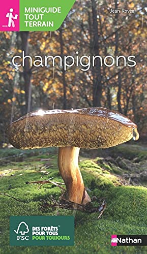 Miniguide tout terrain - Champignons