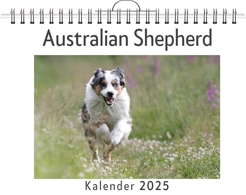 Australian Shepherd - (Wandkalender 2025, Kalender DIN A4 quer, Monatskalender im Querformat mit Kalendarium, das perfekte Geschenk) von FlipFlop