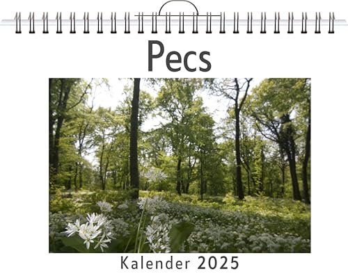 Pecs - (Wandkalender 2025, Kalender DIN A4 quer, Monatskalender im Querformat mit Kalendarium, das perfekte Geschenk) von FlipFlop