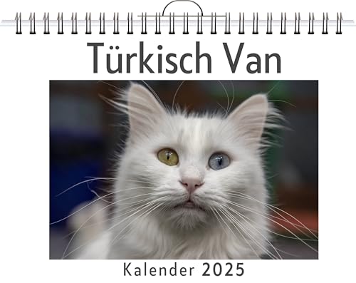 Türkisch Van - (Wandkalender 2025, Kalender DIN A4 quer, Monatskalender im Querformat mit Kalendarium, das perfekte Geschenk) von FlipFlop