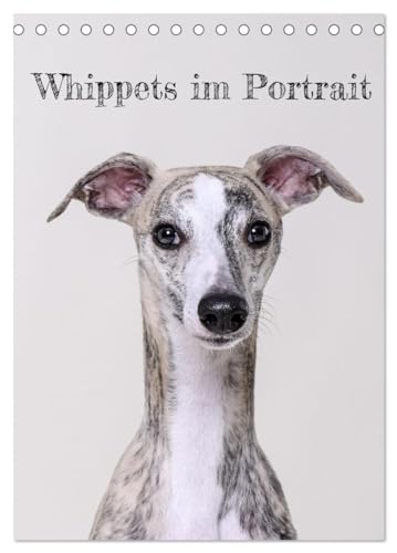 Whippets im Portrait (Tischkalender 2024 DIN A5 hoch), CALVENDO Monatskalender: Der Whippet ist die perfekte Mischung aus Kraft und Eleganz (CALVENDO Tiere) von CALVENDO