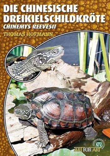 Die Chinesische Dreikielschildkröte: Chinemys reevesii (Buchreihe Art für Art Terraristik) von NTV Natur und Tier-Verlag