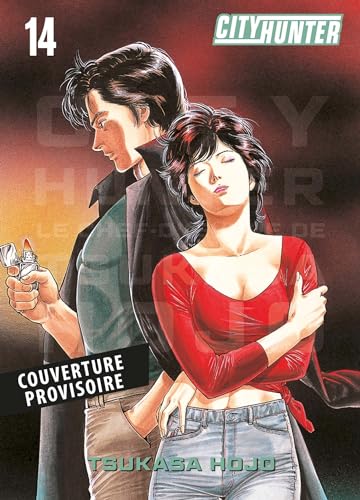 City Hunter Perfect Edition T14