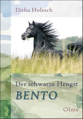 Der schwarze Hengst Bento Der schwarze Hengst Bento