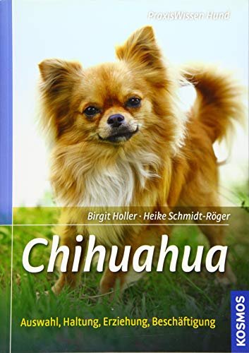 Chihuahua: Auswahl, Haltung, Erziehung, Beschäftigung