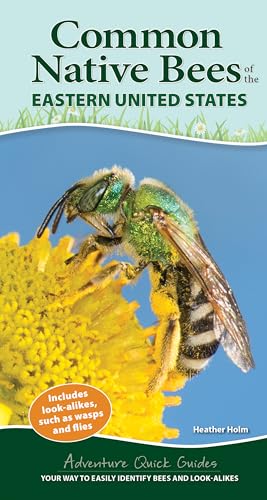 Common Native Bees of the Eastern United States: Your Way to Easily Identify Bees and Look-Alikes (Adventure Quick Guides) von Adventure Publications
