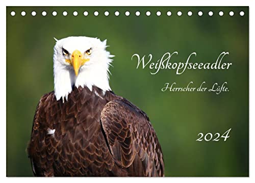 Weißkopfseeadler. Herrscher der Lüfte. 2024 (Tischkalender 2024 DIN A5 quer), CALVENDO Monatskalender