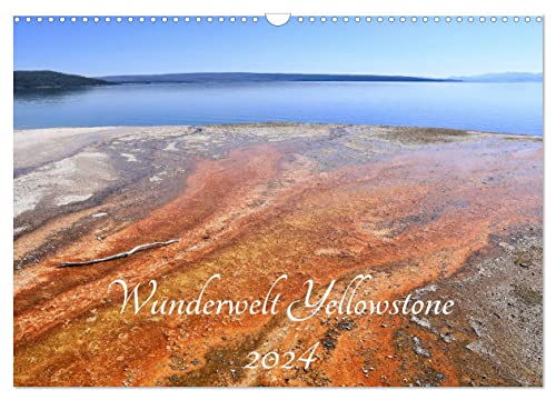 Wunderwelt Yellowstone 2024 (Wandkalender 2024 DIN A3 quer), CALVENDO Monatskalender von CALVENDO