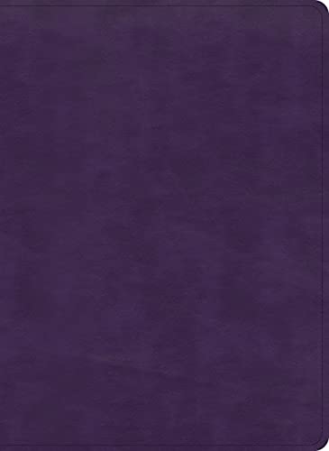 Holy Bible: KJV Study Bible, Full-color, Plum Leathertouch von Holman Bibles