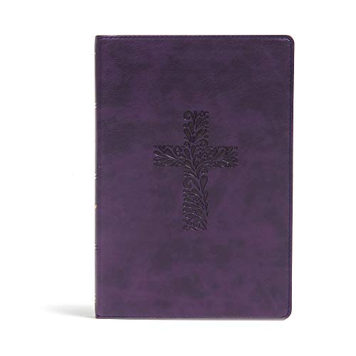 Holy Bible: King James Version, Rainbow Study Bible, Purple, Leathertouch
