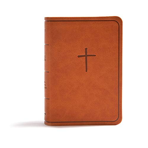 KJV On-The-Go Bible, Ginger Leathertouch KJV On-The-Go Bible, Ginger Leathertouch