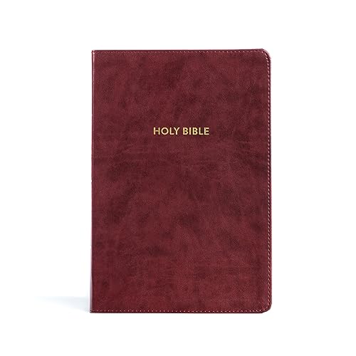 Holy Bible: King James Version, Rainbow Study Bible, Burgundy, Leathertouch