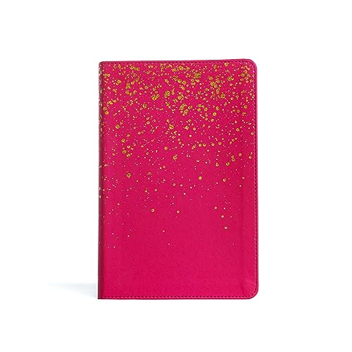 Holy Bible: King James Verson, Pink, Leathertouch, Gold Page Edges, The Old and New Testaments Holy Bible: King James Verson, Pink, Leathertouch, Gold Page Edges, The Old and New Testaments