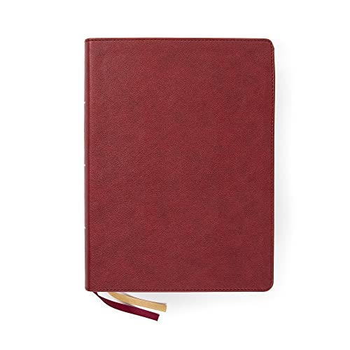 Holy Land Illustrated Bible: Christian Standard Bible, Burgundy, Leathertouch