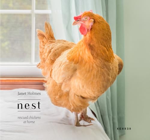 Janet Holmes: Nest. Rescued Chickens at Home