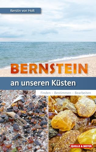 Bernstein an unseren Küsten: Finden – Bestimmen – Bearbeiten von Quelle & Meyer