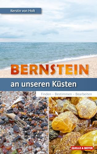Bernstein an unseren Küsten: Finden – Bestimmen – Bearbeiten