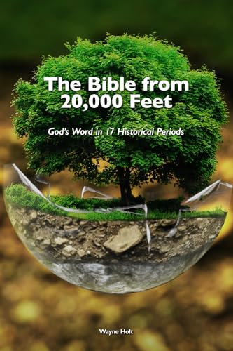The Bible from 20,000 Feet: God's Word in 17 Historical Periods von Gospel Armory Publishing