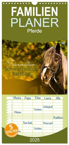 Familienplaner 2025 - Faszination Schwarzwälder Kaltblut mit 5 Spalten (Wandkalender, 21 cm x 45 cm), CALVENDO von CALVENDO