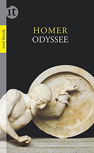 Odyssee (insel taschenbuch)