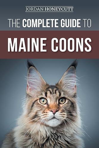 The Complete Guide to Maine Coons: Finding, Preparing for, Feeding, Training, Socializing, Grooming, and Loving Your New Maine Coon Cat The Complete Guide to Maine Coons: Finding, Preparing for, Feeding, Training, Socializing, Grooming, and Loving Your New Maine Coon Cat