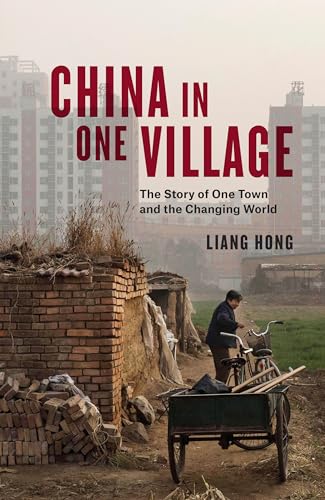 China in One Village: The History of One Town and the Future of the World von Verso