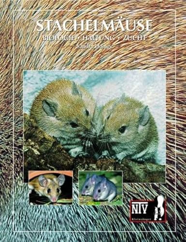 Stachelmäuse: Biologie, Haltung, Zucht der Gattung Acomys