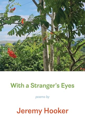 With a Stranger's Eyes With a Stranger's Eyes von Shearsman Books