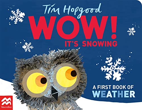 WOW! It's Snowing: A First Book of Weather von Macmillan Children's Books
