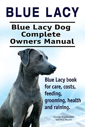 Blue Lacy. Blue Lacy Dog Complete Owners Manual. Blue Lacy book for care, costs, feeding, grooming, health and training. Blue Lacy. Blue Lacy Dog Complete Owners Manual. Blue Lacy book for care, costs, feeding, grooming, health and training.