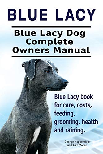 Blue Lacy. Blue Lacy Dog Complete Owners Manual. Blue Lacy book for care, costs, feeding, grooming, health and training.