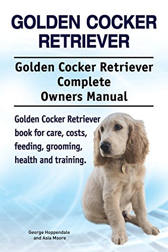 Golden Cocker Retriever. Golden Cocker Retriever Complete Owners Manual. Golden Cocker Retriever book for care, costs, feeding, grooming, health and training. Golden Cocker Retriever. Golden Cocker Retriever Complete Owners Manual. Golden Cocker Retriever book for care, costs, feeding, grooming, health and training.