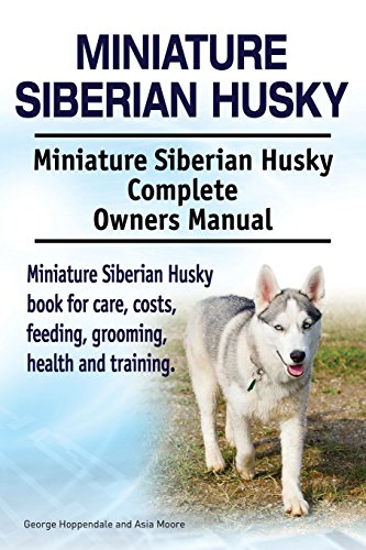 Miniature Siberian Husky. Miniature Siberian Husky Complete Owners Manual. Miniature Siberian Husky book for care, costs, feeding, grooming, health and training. von Imb Publishing Miniature Siberian Husky