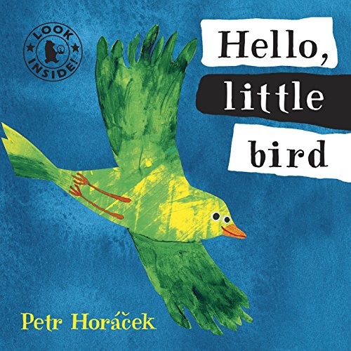 Hello, Little Bird von WALKER BOOKS