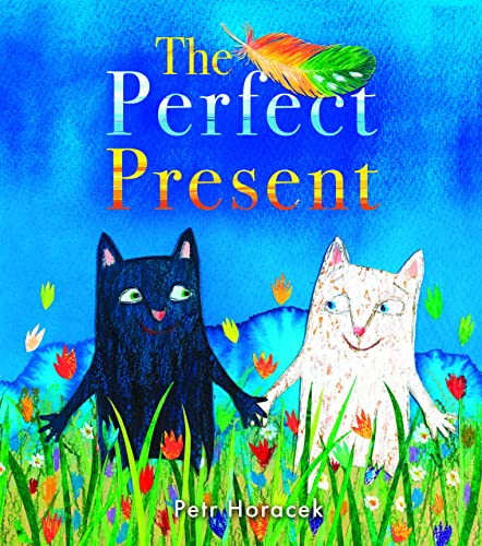 The Perfect Present von Otter-Barry Books
