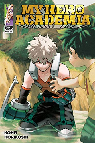 My Hero Academia, Vol. 29: Volume 29 (MY HERO ACADEMIA GN, Band 29)