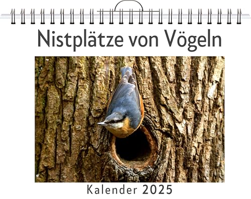 Nistplätze von Vögeln - (Wandkalender 2025, Kalender DIN A4 quer, Monatskalender im Querformat mit Kalendarium, das perfekte Geschenk) von FlipFlop