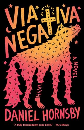 Via Negativa: A novel von Vintage