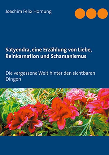 Satyendra, eine Erzählung von Liebe, Reinkarnation und Schamanismus: Die vergessene Welt hinter den sichtbaren Dingen von Books on Demand GmbH