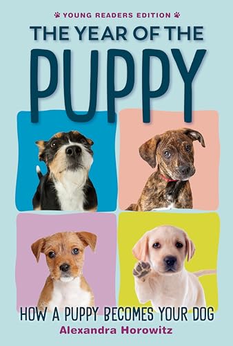 The Year of the Puppy: How a Puppy Becomes Your Dog