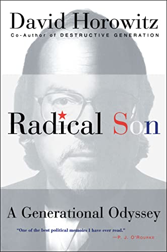 Radical Son: A Generational Oddysey von Touchstone