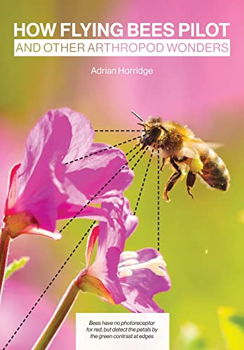 How Flying Bees Pilot, and other arthropod wonders von Northern Bee Books