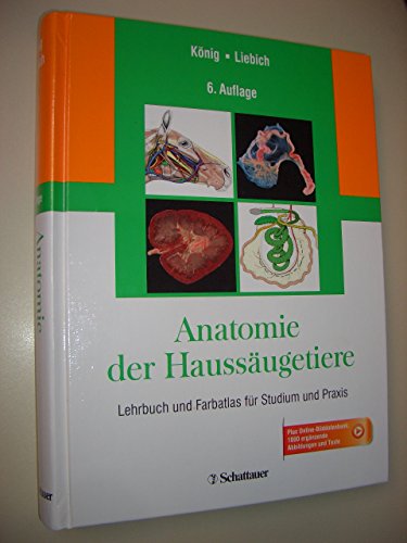 Anatomie der Haussäugetiere