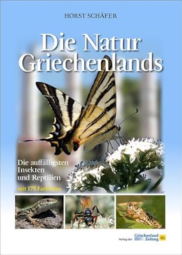 Die Natur Griechenlands: Die auffälligsten Käfer und Reptilien von Hellasproducts - Verlag der Griechenland Zeitung