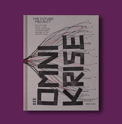 Die Omnikrise: Wie uns eine Krise, in der alles miteinander zusammenhängt, den Weg in die Zukunft zeigt