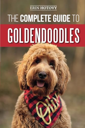 The Complete Guide to Goldendoodles: How to Find, Train, Feed, Groom, and Love Your New Goldendoodle Puppy von Independently Published
