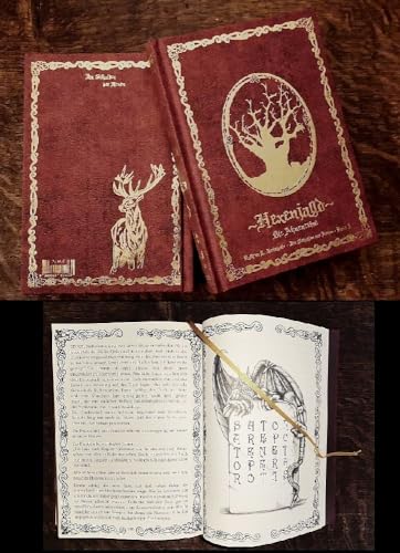 Im Schatten der Hexen III: Hexenjagd - Die Ahnenreise - Schmuckedition Bd. 3 - Ein mystischer Harz-Krimi (Im Schatten der Hexen: Jage nicht, was Du nicht töten kannst!) von Geistmühle Verlag