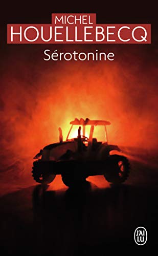 Sérotonine: Roman